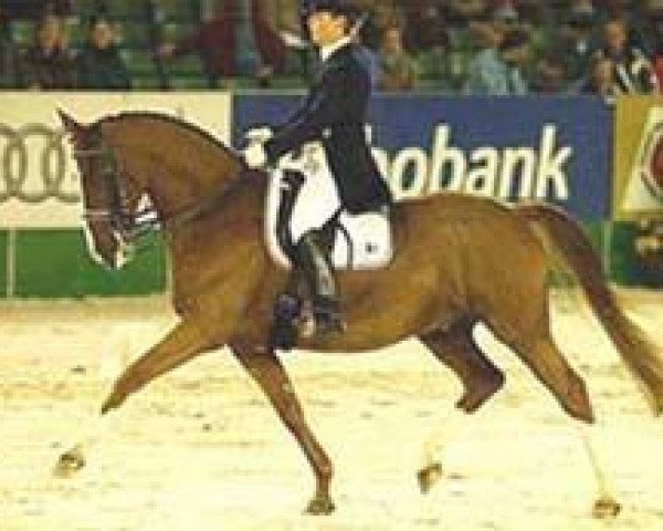 horse Sachsenkoenig (Trakehner, 1994, from Handryk)