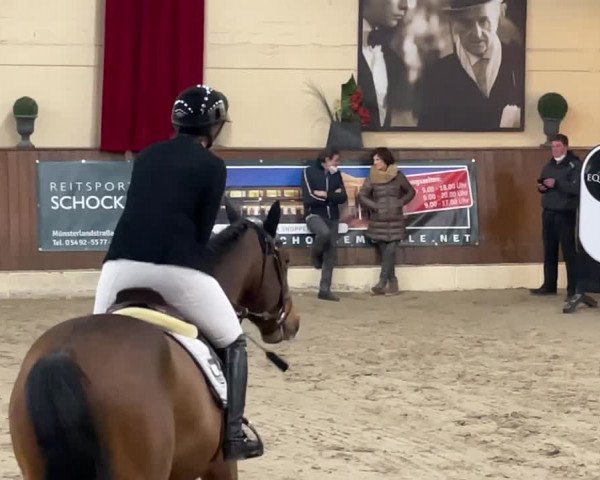 Video of Mps Bold Ruler
