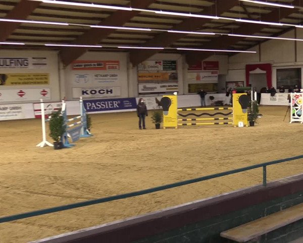 Springturnier Borken 2022