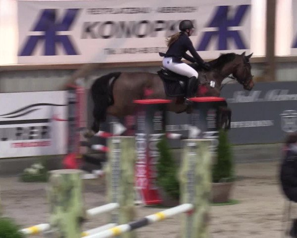 9. Nordic Jumping Event in Negernbötel 2022
