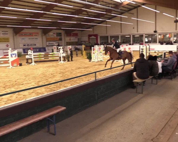 Springturnier Borken 2022