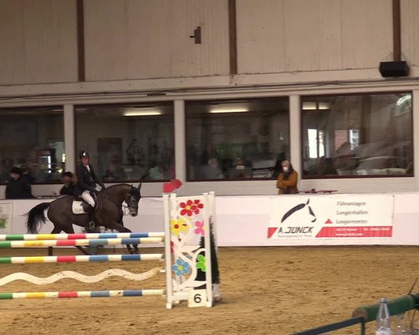 Springturnier Borken 2022