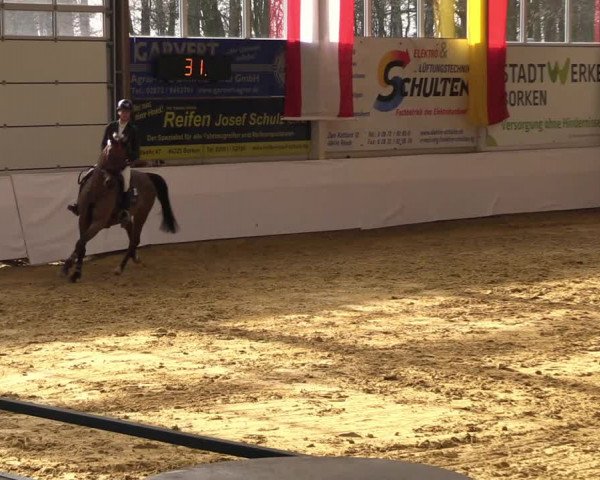 Springturnier Borken 2022