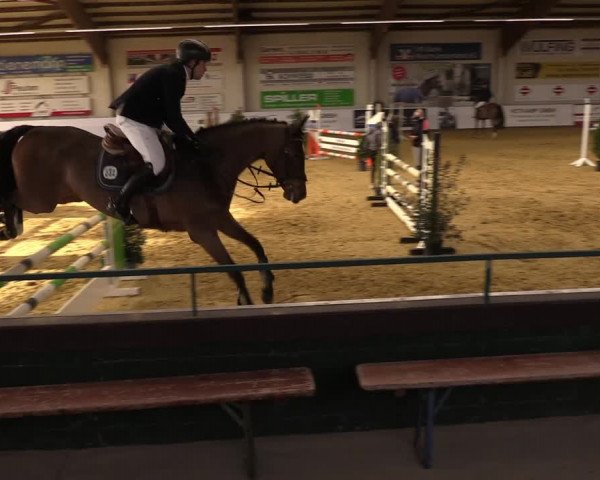 Springturnier Borken 2022