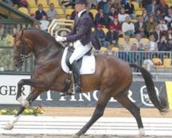 stallion Florencio (Westphalian, 1991, from Florestan I)