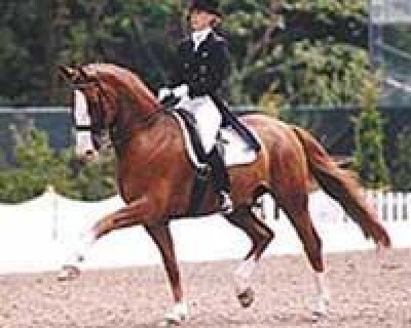 dressage horse Farbenfroh (Westphalian, 1990, from Freudentänzer)
