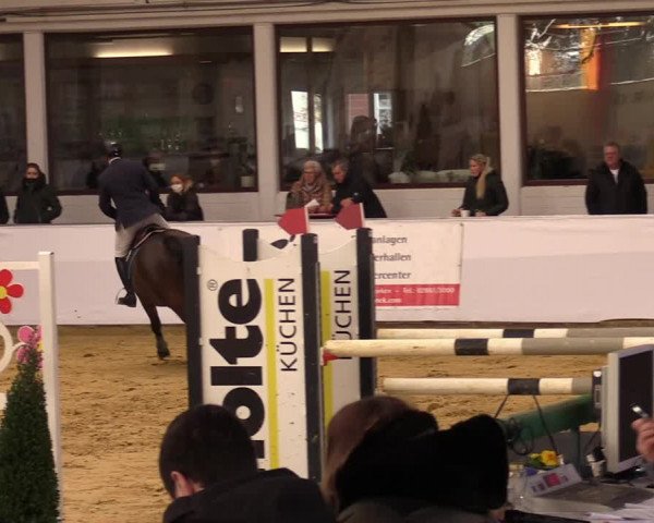 Springturnier Borken 2022