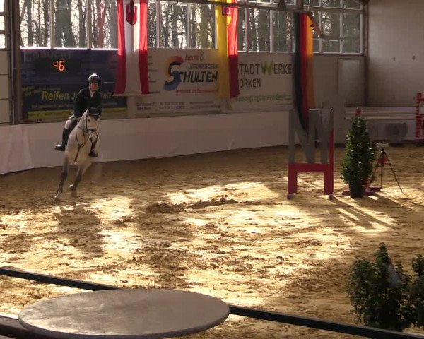 Springturnier Borken 2022