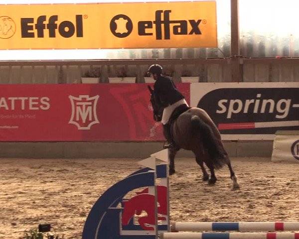 9. Nordic Jumping Event in Negernbötel 2022