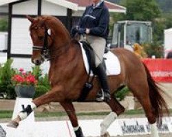 dressage horse Bonaparte 67 (Hanoverian, 1993, from Bon Bonaparte)
