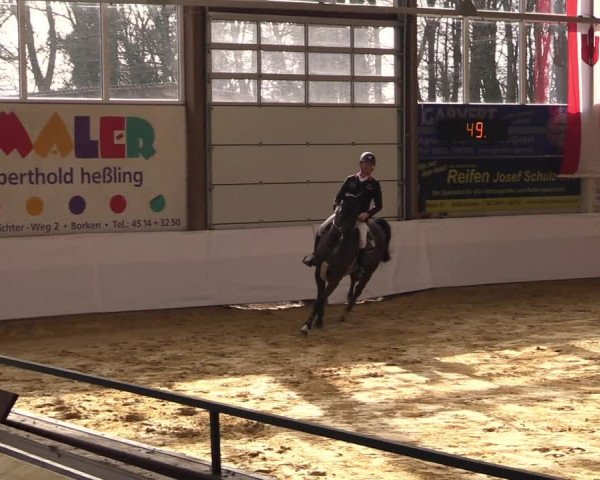 Springturnier Borken 2022