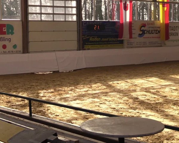 Springturnier Borken 2022
