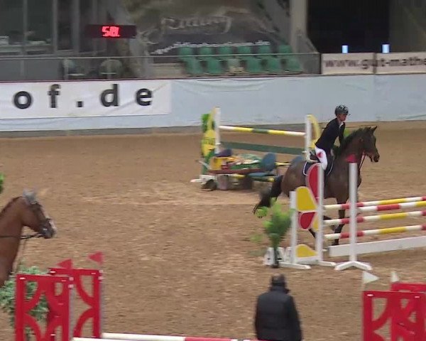 Springturnier Kreuth 2022