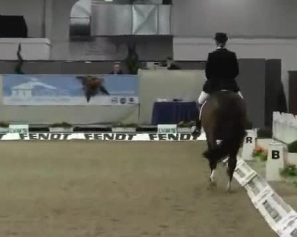 Video of Instertanz V 241 FIN