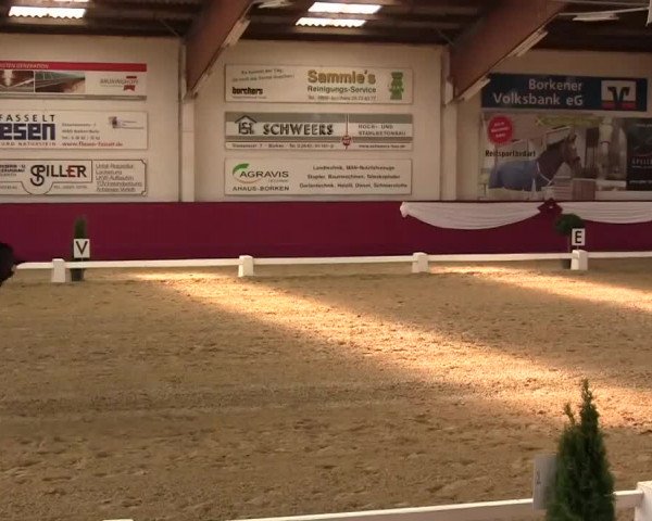 Video of Instertanz V 241 FIN
