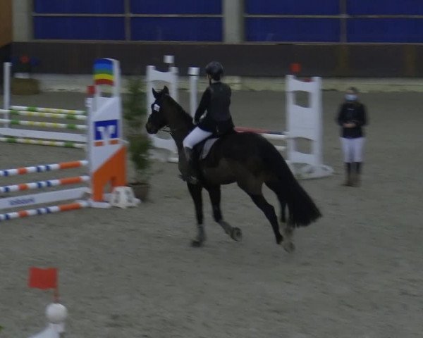 Hallennachwuchsturnier Herford 2022