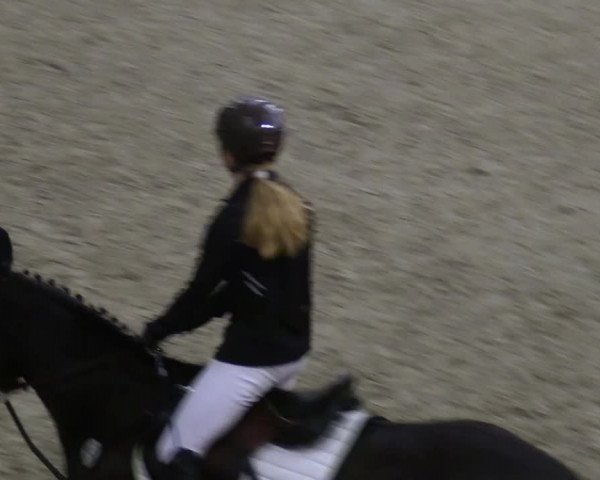 Hallennachwuchsturnier Herford 2022