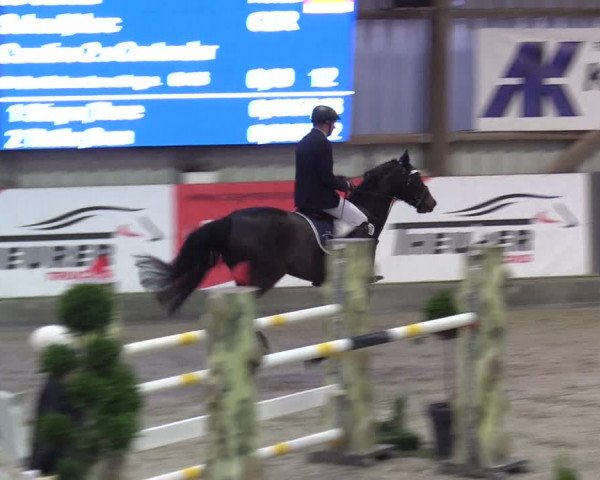9. Nordic Jumping Event in Negernbötel 2022
