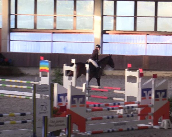 Hallennachwuchsturnier Herford 2022