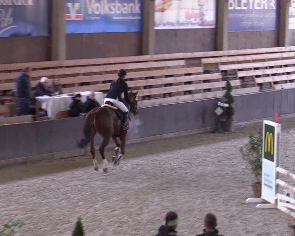 Hallennachwuchsturnier Herford 2022