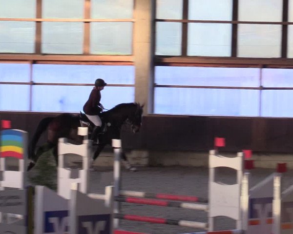 Hallennachwuchsturnier Herford 2022