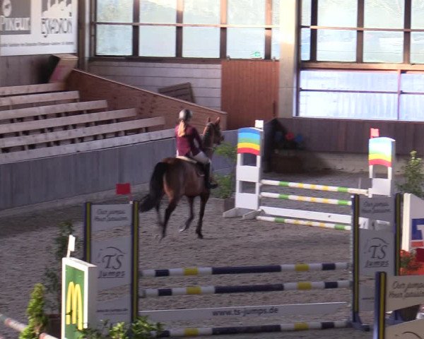 Hallennachwuchsturnier Herford 2022