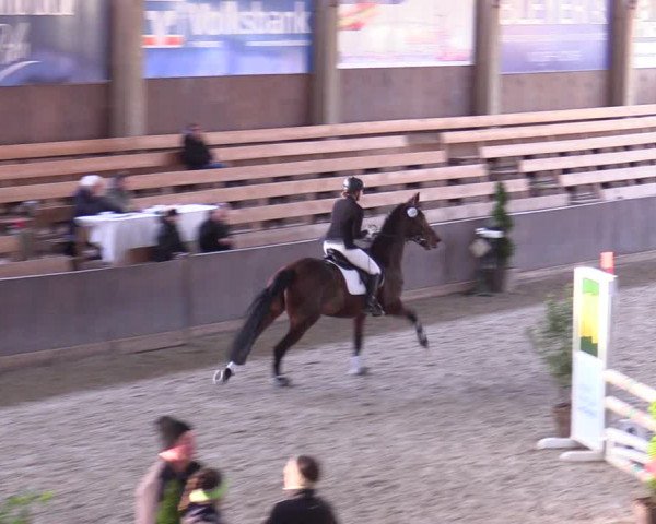 Hallennachwuchsturnier Herford 2022