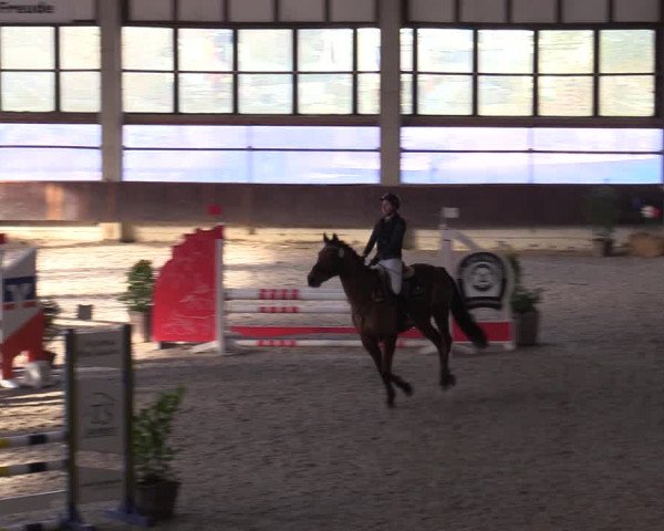 Hallennachwuchsturnier Herford 2022