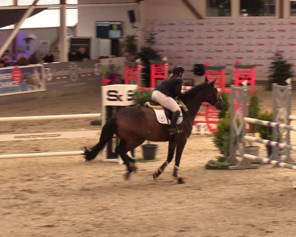 9. Nordic Jumping Event in Negernbötel 2022