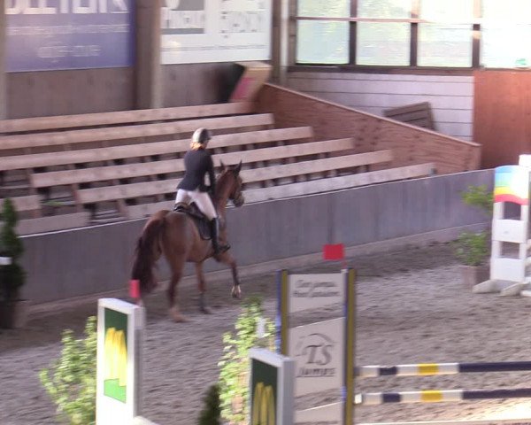 Hallennachwuchsturnier Herford 2022