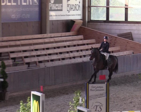 Hallennachwuchsturnier Herford 2022