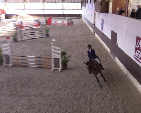 Hallennachwuchsturnier Herford 2022