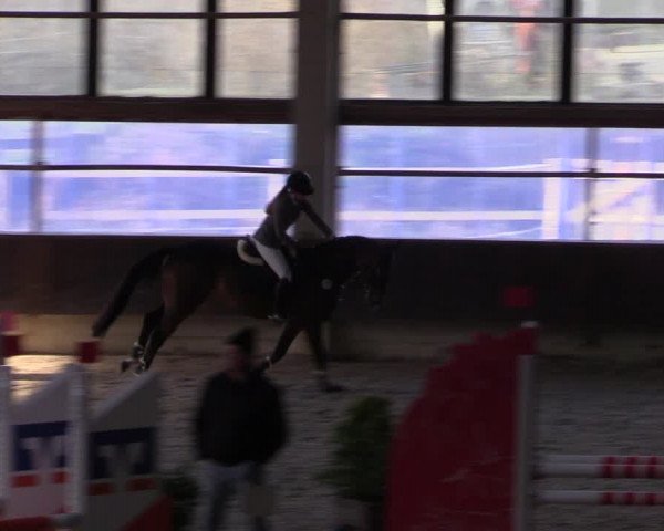Hallennachwuchsturnier Herford 2022