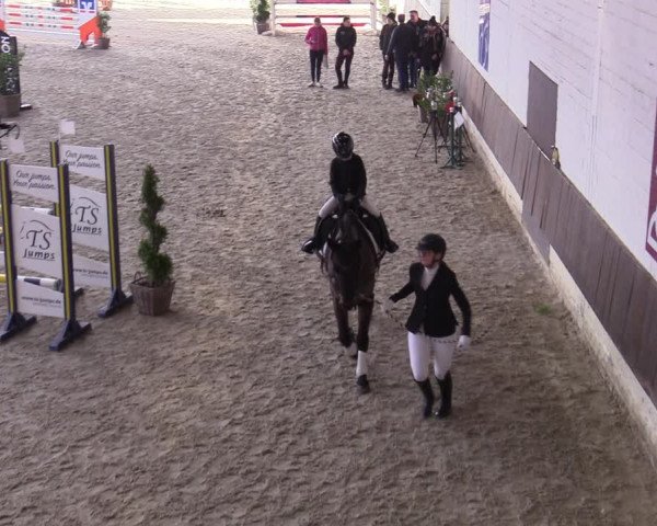 Hallennachwuchsturnier Herford 2022