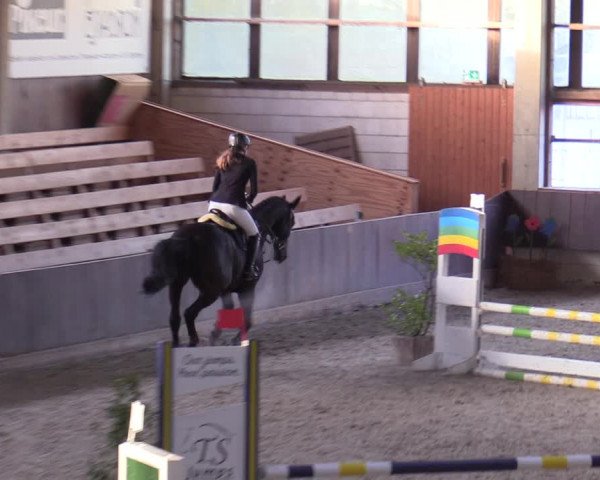 Hallennachwuchsturnier Herford 2022