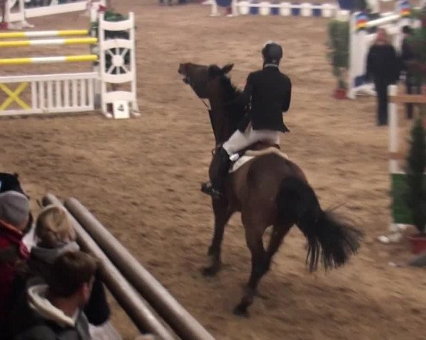 Marl 2010