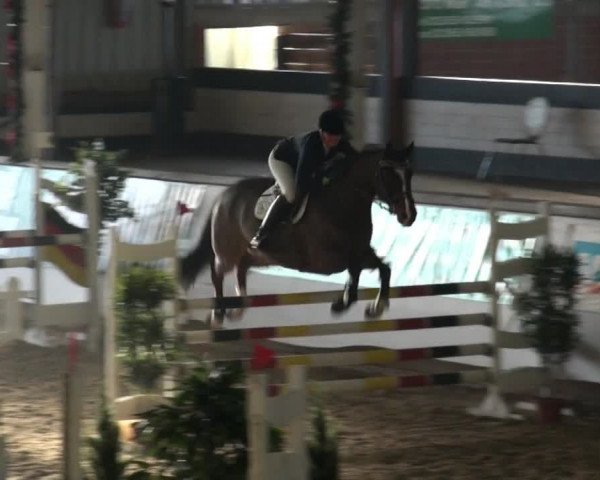 Video di Caballjero