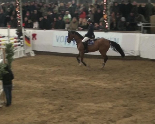 Video von Quentinn