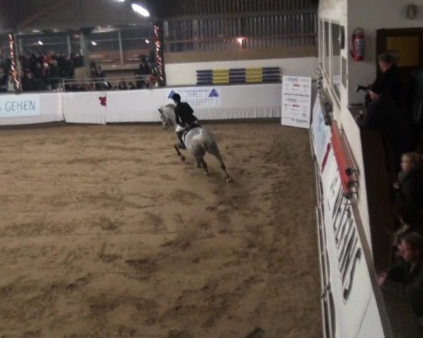 Video of Cassydy