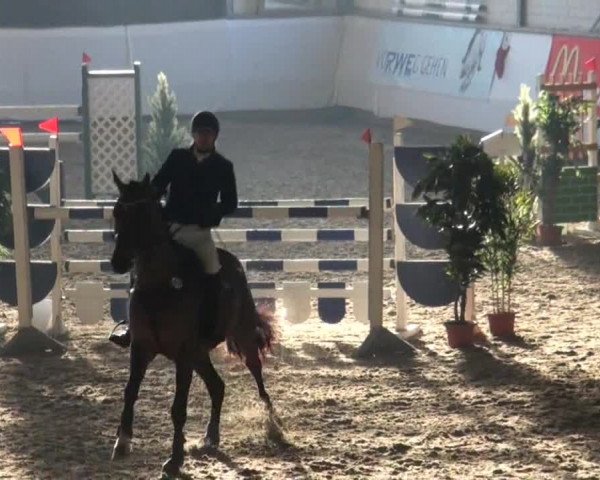 Video von Zafiro VDL