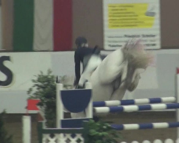 Marl 2010