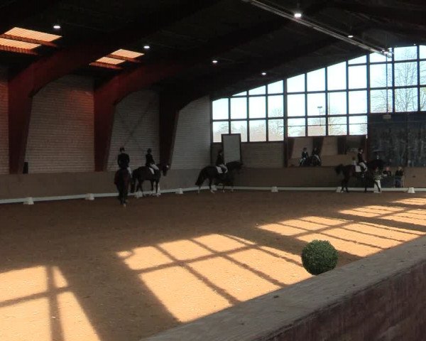 Spring- und Dressur Late Entry Kamen 2022
