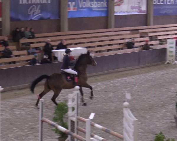 Hallennachwuchsturnier Herford 2022