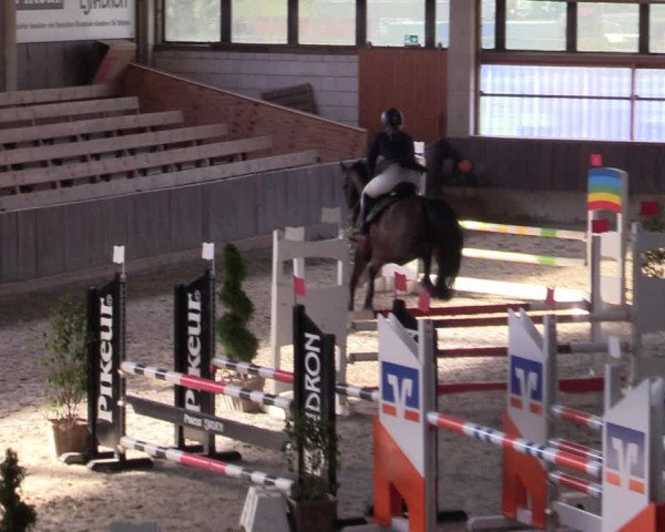 Hallennachwuchsturnier Herford 2022