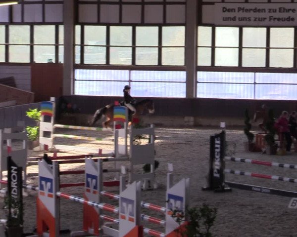 Hallennachwuchsturnier Herford 2022