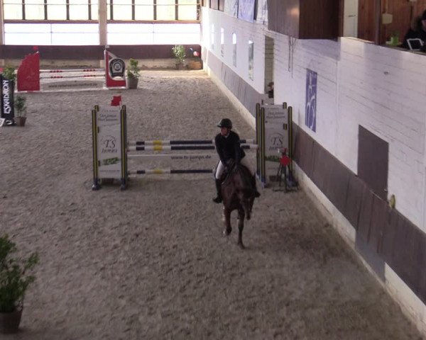 Hallennachwuchsturnier Herford 2022