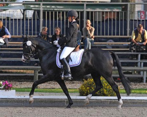 Dressurpferd Lulu 110 (Deutsches Reitpony, 2006, von Revell)