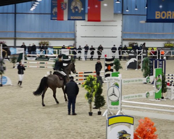 Reitturnier Borken 2022