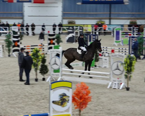 Reitturnier Borken 2022