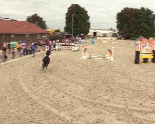 Springreitturnier Hohburg 2021